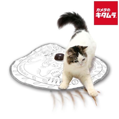 猫壱 キャッチ・ミー・イフ・ユー・キャン2 猫のお庭 《納期約２週間》