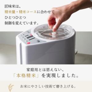 山本電気 ライスクリーナー 匠味米 YE-RC...の詳細画像2