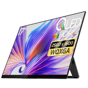 EHOMEWEI 17インチ モバイルモニター QLED WQXGA RQ-170NW｜emedama