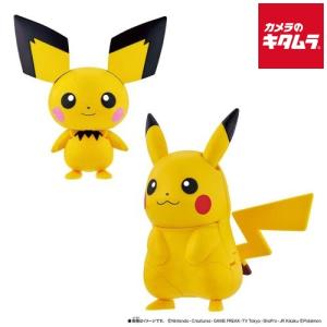 バンダイ ポケモンチェンジ ピチュー ピカチュウの買取情報