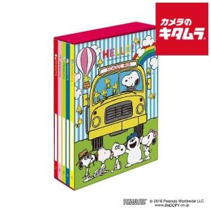 L判 ポケットアルバム サンリオ 5冊BOXポケットアルバム マイメロディ