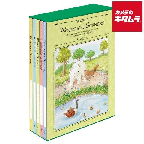ナカバヤシ 5PL-480-1 5冊BOXポケットアルバム L判480枚 ウッドランドシーナリー