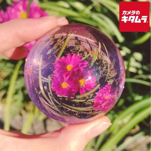 キング King レンズボール(R) KLB60 ピンク