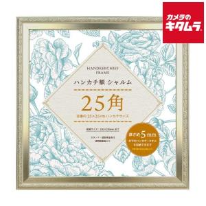フジカラー アルミ額縁 A300 全紙 《納期約1−2週間》 : カメラの