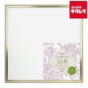 フジカラー アルミ額縁 A300 全紙 《納期約1−2週間》 : カメラの