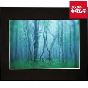 ケンコー トキナー アルミ額縁 ギャラリー A2 ブラック ACY-A2-BK