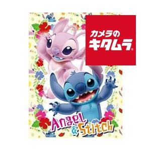 フジカラー ディズニー ポストカードアルバム スティッチ＆エンジェル