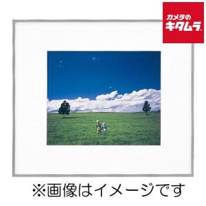 フジカラー アルミ額縁 A300 全紙 《納期約1−2週間》 : カメラの