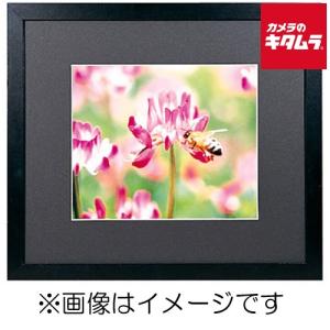 フジカラー 写真用アルミ額縁 A300 6切 5枚 FUJICOLOR アルミ額縁 A300 全紙 | アサヌマネットショップ