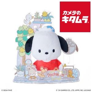 セガフェイブ アクぬい サンリオキャラクターズ ポチャッコ