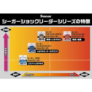シーガー(Seaguar) リーダー シーガー...の詳細画像3