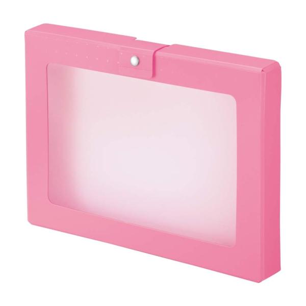 リヒトラブ ハンドケース 透明窓 CUBEFIZZ A4 ピンク A699-12