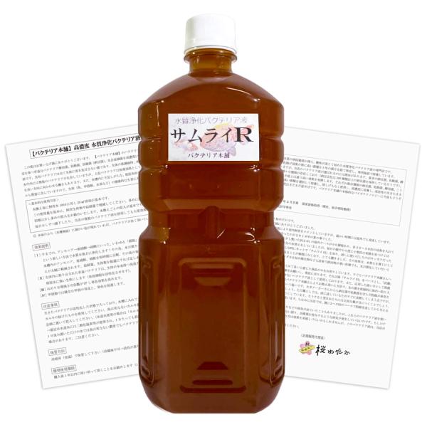 【バクテリア本舗】サムライR 品評会専用水質浄化バクテリア液 1L(使用説明書付)