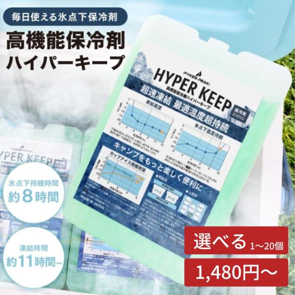 「最安値挑戦中」 保冷剤 単品 長時間 氷点下パック ハードタイプ 冷凍 保存 強力 長持ち 持続 ...