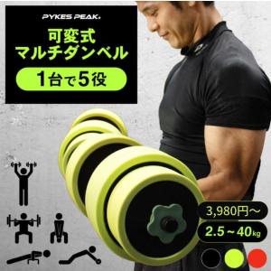 WILD FIT（ワイルドフィット） ダンベルセット 40kg アイアン / 筋トレ
