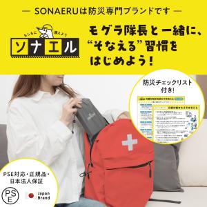 防災テレビラジオ 5in ワンセグテレビ FM...の詳細画像2