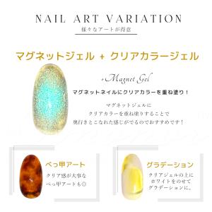 クリアカラー ジェル 全14色 透明系 ツヤ感...の詳細画像2