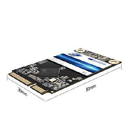 Dogfish SSD MSATA 64GB 高性能内蔵ソリッドステートドライブ デスクトップノート...