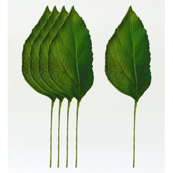 フラダンス ハイビスカスリーフ Lサイズ 5枚セット 1332L