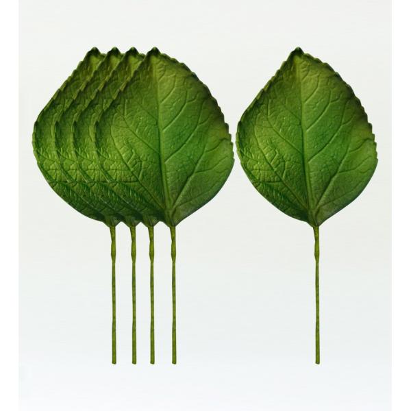 フラダンス ハイビスカスリーフ Mサイズ 5枚セット 1332M