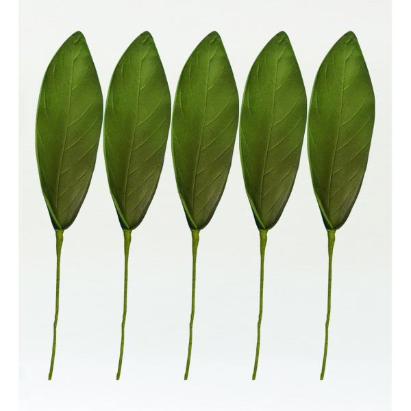 フラダンス ガーデニアリーフ Lサイズ 5枚セット 1334L