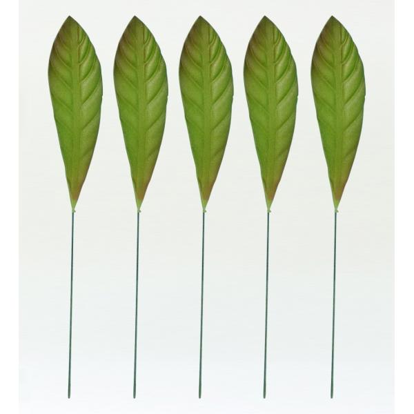 フラダンス プルメリアリーフ Lサイズ 5枚セット 1406L