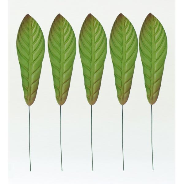 フラダンス プルメリアリーフ XLサイズ 5枚セット 1406XL