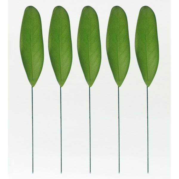 フラダンス プルメリアリーフ Lサイズ 5枚セット 1407L