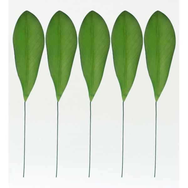 フラダンス プルメリアリーフ XLサイズ 5枚セット 1407XLa