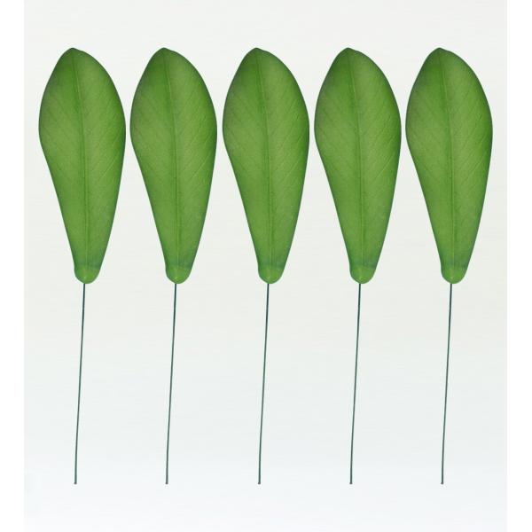 フラダンス プルメリアリーフ XLサイズ 5枚セット 1407XLb