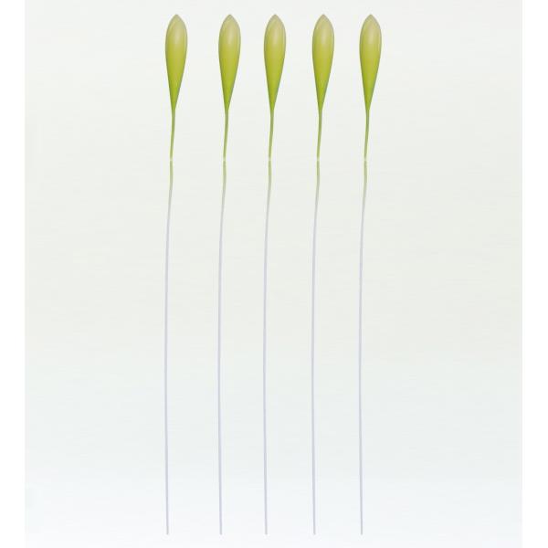 フラダンス プルメリアバッド Mサイズ 5個セット 1408M