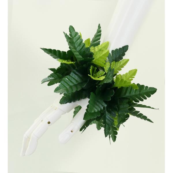 フラダンス シダ パラパライ ブレス 1点 2930