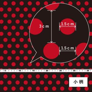 フラメンコ生地 くすみ水玉柄 コシボ・シャンタ...の詳細画像4