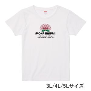 名入れTシャツ [3L/4L/5L] ホワイト NT0023l-5lw｜emika