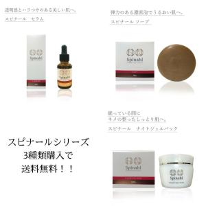 Spinahl スピナール 美容液 石鹸 ナイト...の商品画像