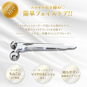 小顔 美顔ローラー 美顔器 エミリーストーン ...の詳細画像4