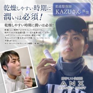 携帯 超音波 ナノ ミスト 美顔器 ANX ハ...の詳細画像3