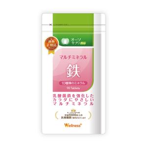 マグネシウム サプリ マグリポ 1箱 (30包) リポソーム 超吸収 国産