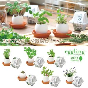 栽培セット 栽培キット Botanical Pot ボタニカルポット ワイルド