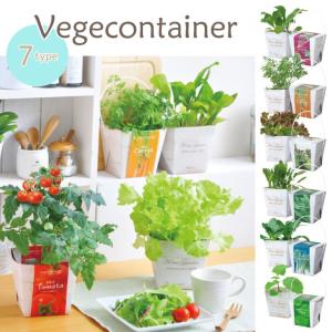 栽培キット 栽培セット ベジコンテナー 菜園セット 家庭菜園 野菜 栽培 キッチン菜園 食育 ギフト プレゼント おしゃれ かわいい Gd333 Gd333 お庭の宅配便yahoo 店 通販 Yahoo ショッピング