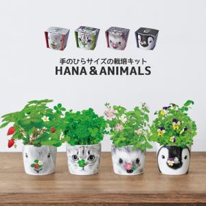 栽培セット 栽培キット Botanical Pot ボタニカルポット ワイルド