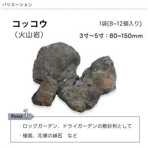 庭石 割栗石 ワズロック コッコウ 10kg ...の詳細画像5