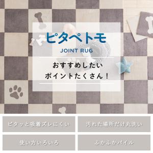 ジョイントマット 2枚 セット 45cm×45...の詳細画像3
