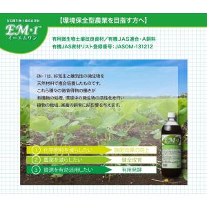 EM1〈1L〉 乳酸菌 酵母 EM菌 土壌改良...の詳細画像1