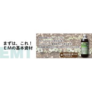 EM1〈1L〉 乳酸菌 酵母 EM菌 土壌改良...の詳細画像2