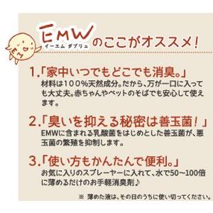EMW 〈500ml〉 乳酸菌 酵母 EM菌 ...の詳細画像1