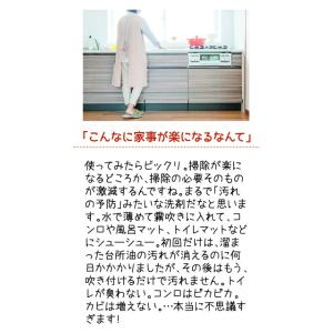 EMW 〈500ml〉 乳酸菌 酵母 EM菌 ...の詳細画像2