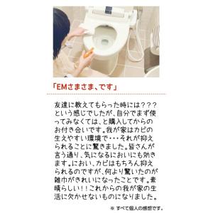 EMW 〈500ml〉 乳酸菌 酵母 EM菌 ...の詳細画像4