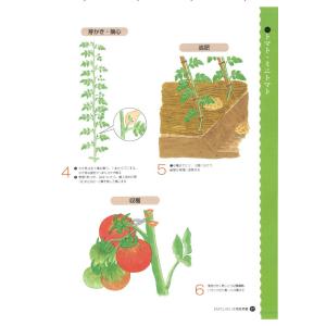EMでいきいき家庭菜園〈A4判 178頁〉 3...の詳細画像4