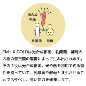 EMX GOLD(イーエムエックスゴールド)〈...の詳細画像2